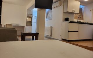 GARSONIERA  DE INCHIRIAT | DEMISOL |  CURTE INTERIOARA | CALEA 13 SEPTEMBRIE - Poză 3