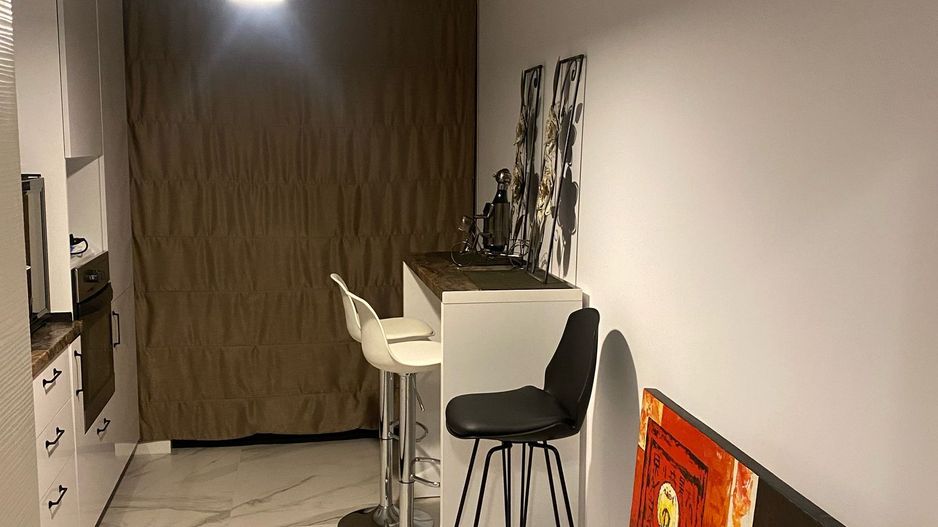 Apartament PARTER || 2 camere || Herastrau Park View - Poză 10