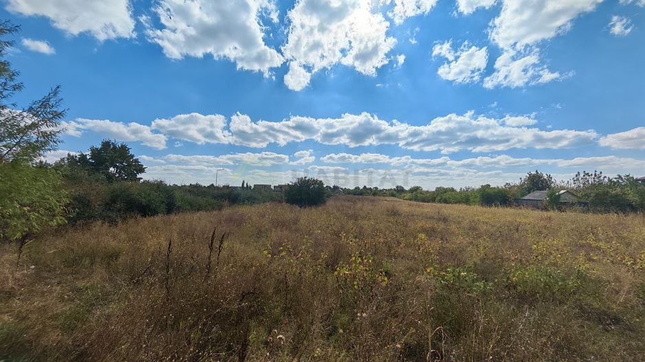 5.900 mp pentru Dezvoltare Rezidențială – Str. Polonă, Periș - Poză 3