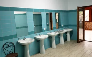 Ferma pomicola cu teren livada 270 ha - Timis - Poză 19