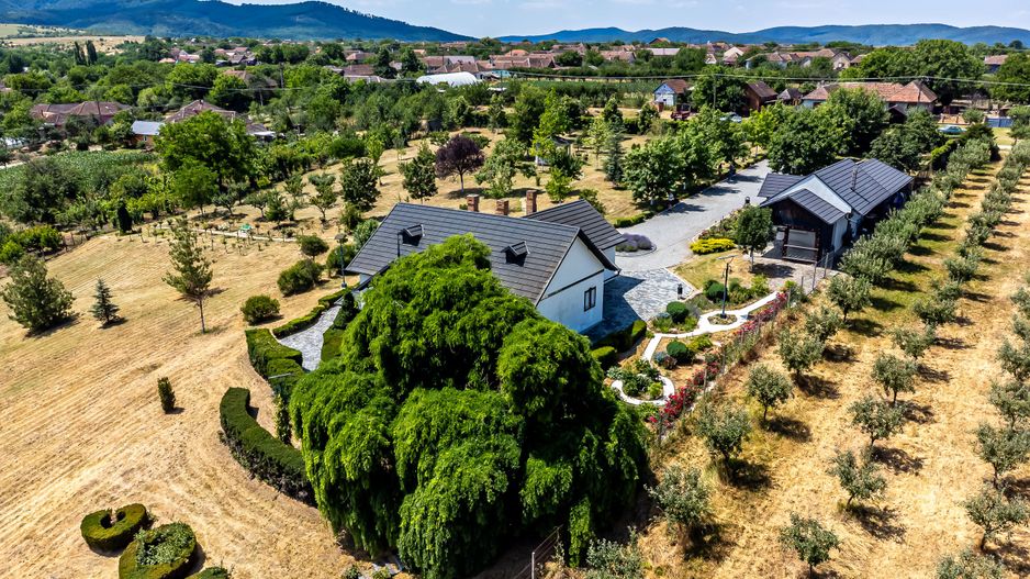 REZERVAT Visezi la o proprietate unică, plină de istorie și farmec? - Poză 2