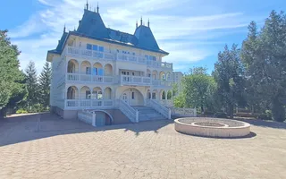 Vilă cu potențial comercial și rezidențial - Poză 38
