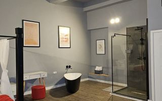 Garsoniera regim hotelier sau spatiu comercial 46 mp utili Terezian - Poză 8