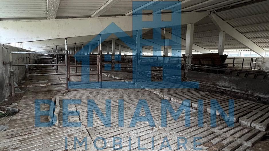 60.000mp Ferma de bovine, păsări, porcine, culturi agricole Diverse - Poză 4