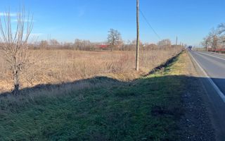 Teren intravilan, Săcădat, 27 921 mp. 9,5 Euro/mp. Comision 0. - Poză 8