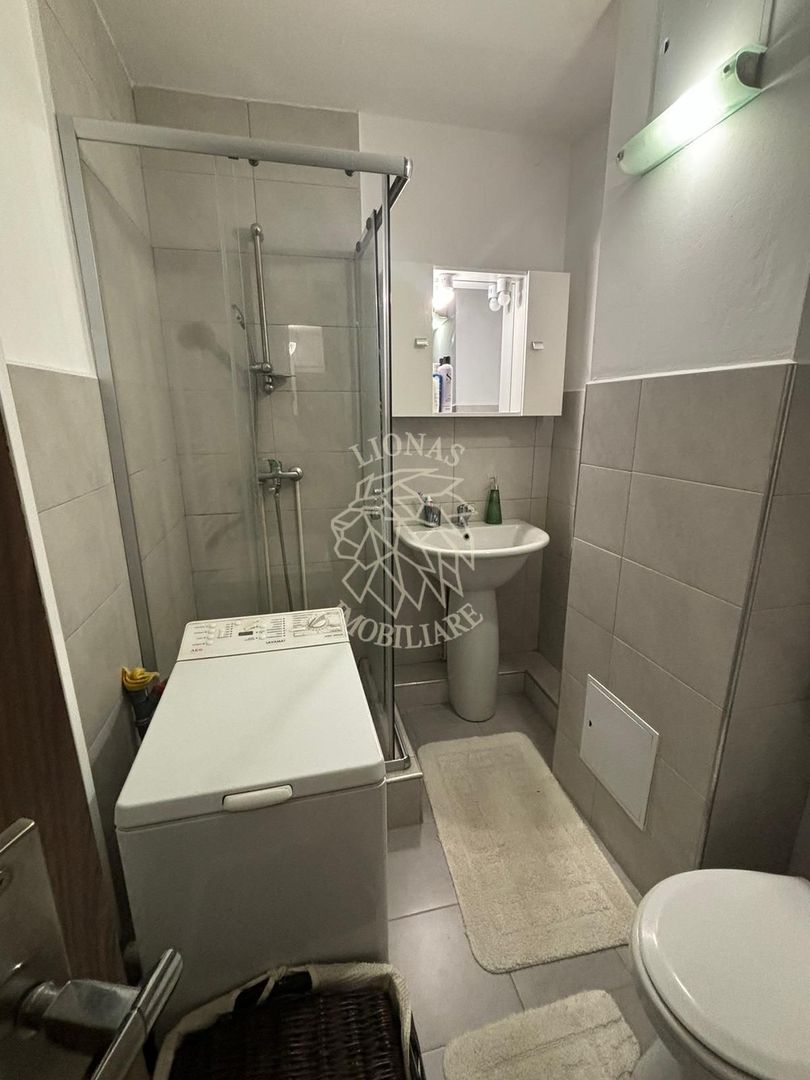 Apartament de închiriat 2 camere 52 mp Strada Luceafărului - Poză 10