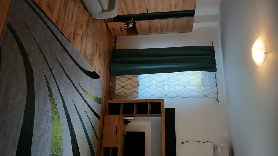Apartament 1 camera Aradului -Spital Premiere - Poză 2