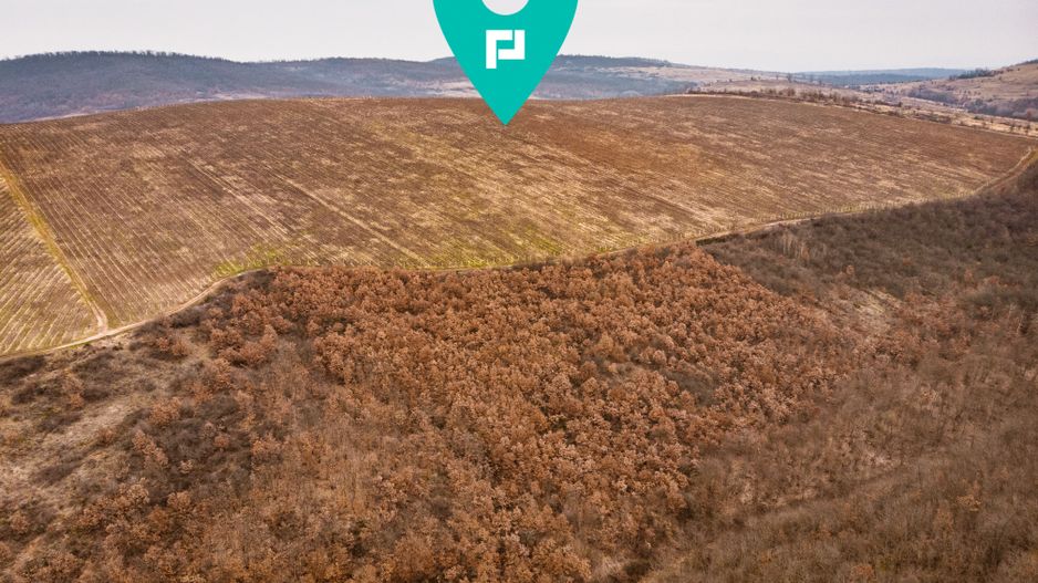 Vie de 115 Hectare în satul Dud, județul Arad - Poză 6