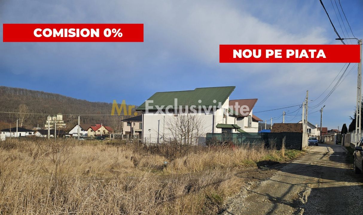 Teren 1.250 mp, toate utilitatile – Bascov, Valea Ursului, AG - Poză 1