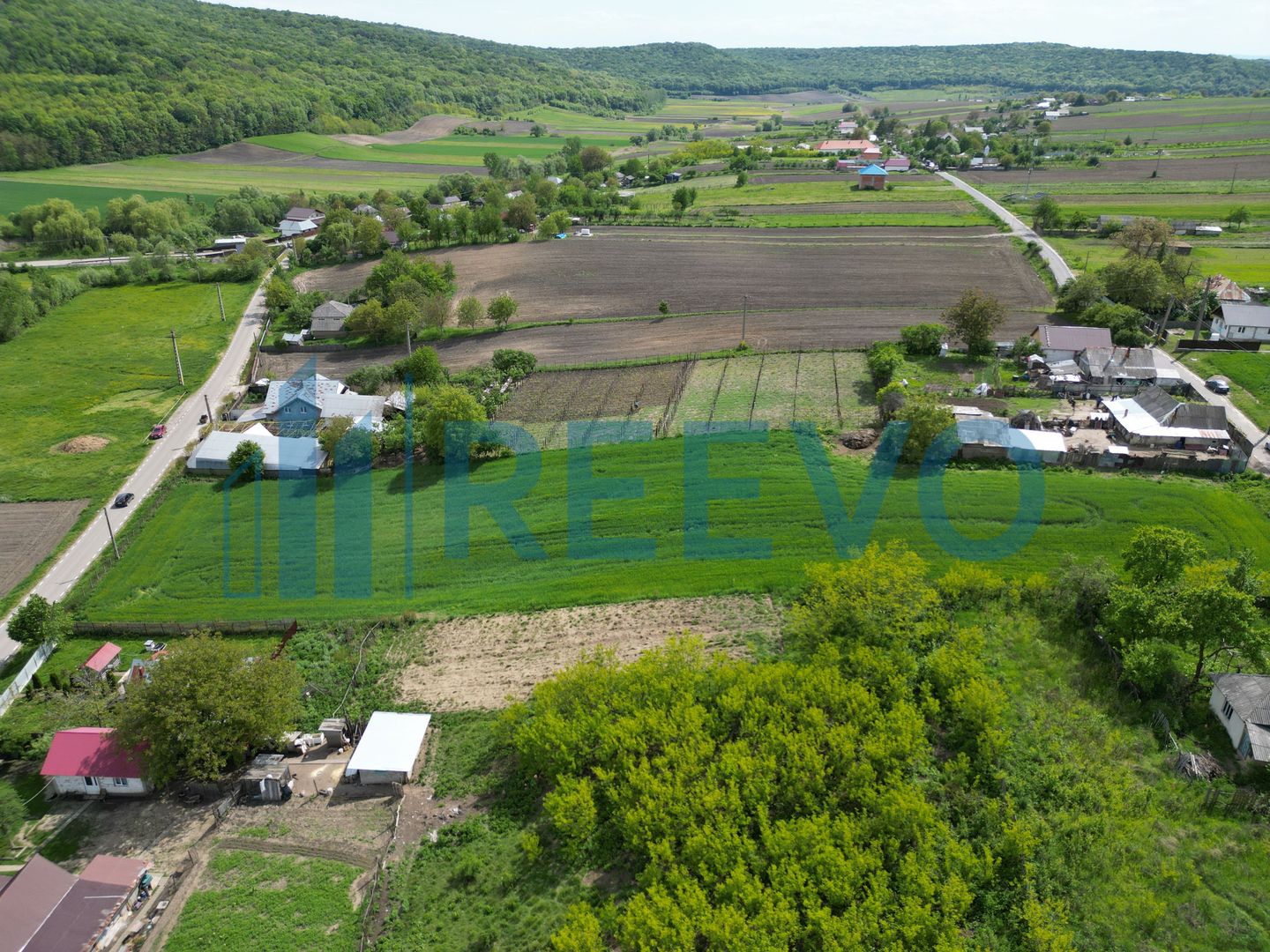 Teren de vânzare, Sat Valea Mare, Com. Roșiori, Bacău - Poză 3