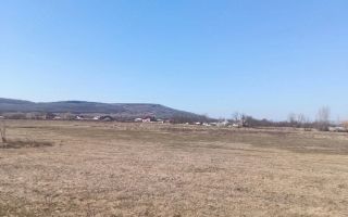 Teren arabil 1 ha în Cilibiu, Golaiesti - Poză 2