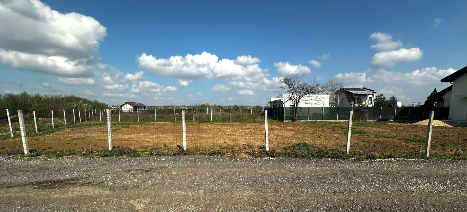 Teren Intravilan 533mp Mogoșoaia-Chitila - Poză 3