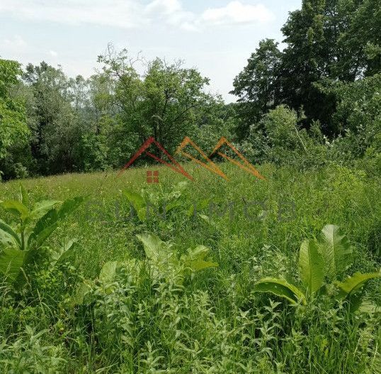 Teren 2500 m2, la sosea, usoara inclinatie, Bustenari, Prahova - Poză 2