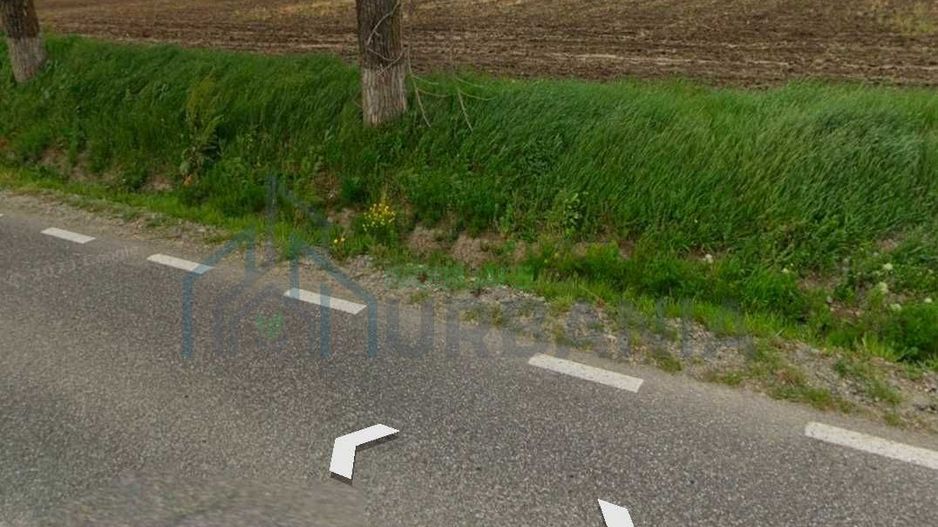 Teren de 5000 mp de vanzare, cu front la strada, in Voinesti, Iasi - Poză 2