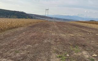 Teren extravilan de vânzare | Daia | 8.000 mp | agricol - Poză 1