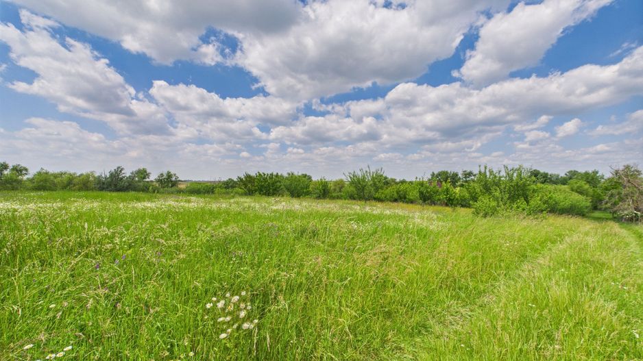 Teren cu baltă- oportunități multiple la Fibiș - Poză 46