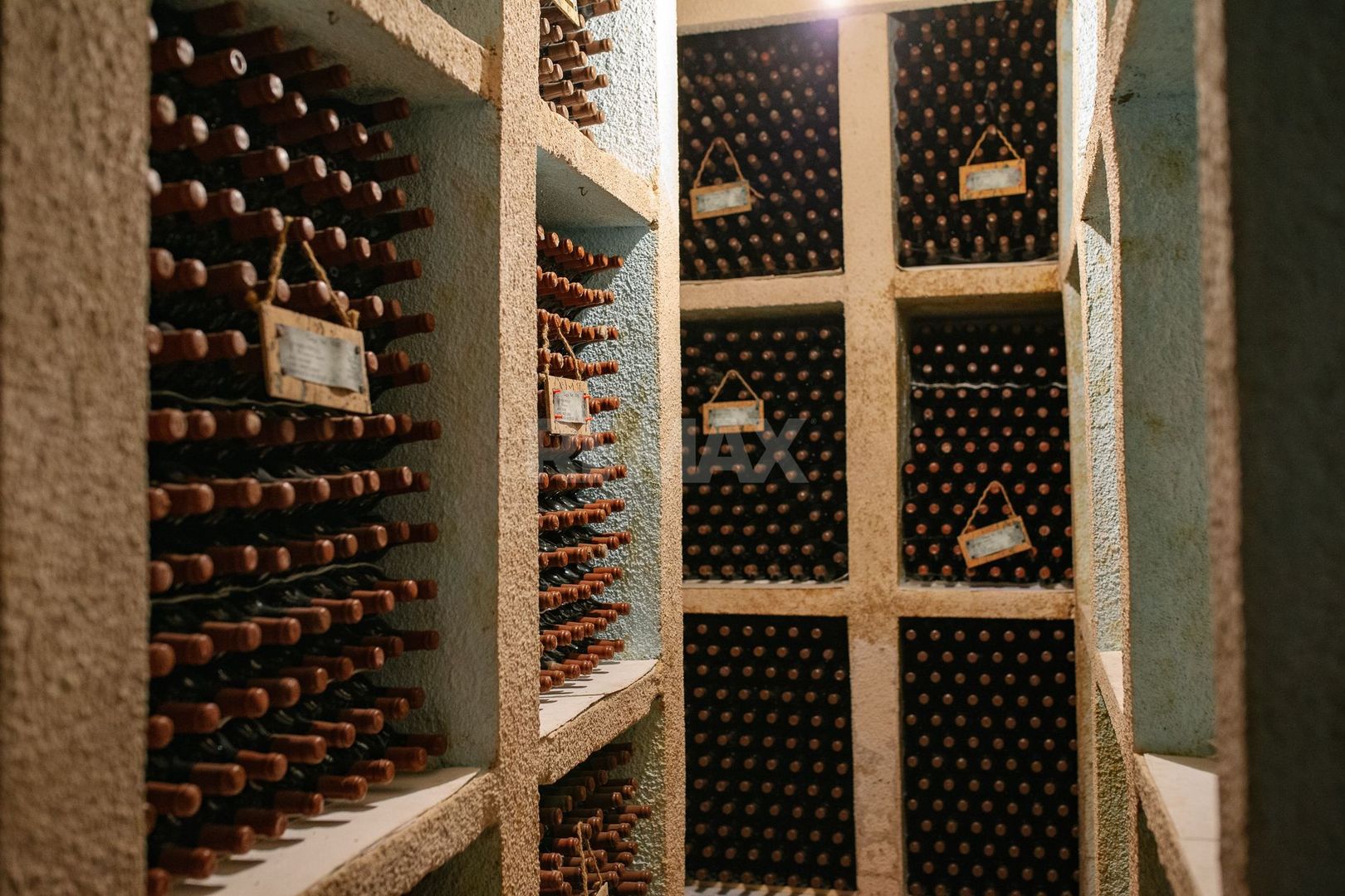 Complex Vitivinicol de Referință în Sudul Moldovei | 206 ha teren agricol | Investiție strategică - Poză 17