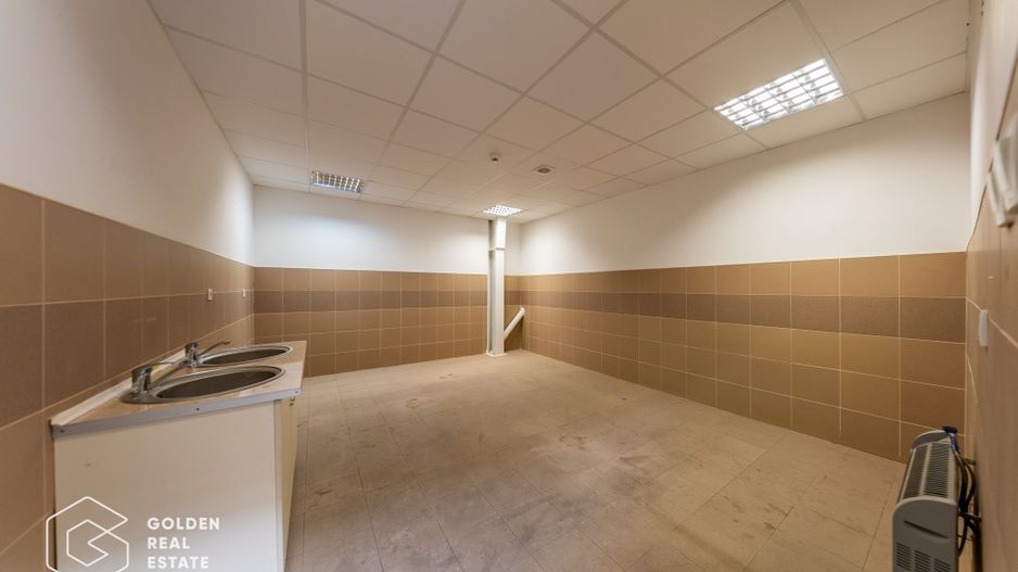 Hala industriala 856mp, Aradul Nou - Poză 9