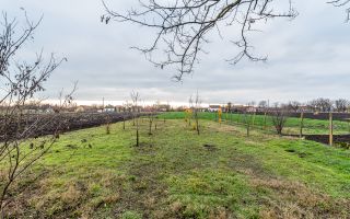 Casă în Dorobanți cu livadă + curte 2500 mp - Poză 9