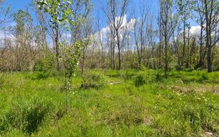 Teren de vanzare / Dem Radulescu - Poză 4