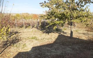 Casa Bradesti, teren 1239 mp - 29 995 Euro - Poză 2