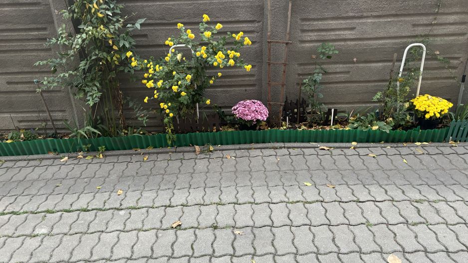 Spatios,mobilat,utilat si loc de parcare - Poză 14