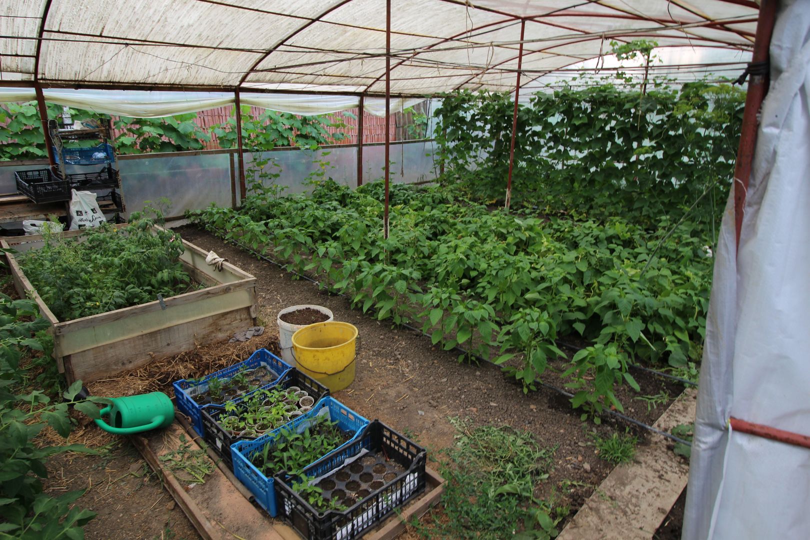 CASA CU TEREN MARE IN ZONA MEHALA - Poză 16