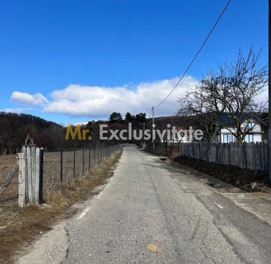Teren Cicanesti Arges, la 10 KM de Transfagarasan - Comision 0% - Poză 4