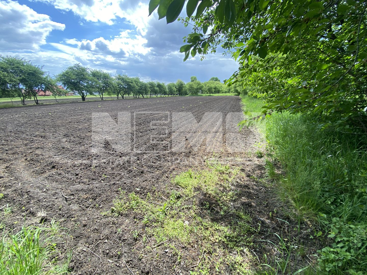 Teren Intravilan | 22 ARI | Horodnic De Jos - Poză 5