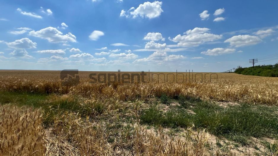 Teren arabil in Nojorid. Investiție sigură la preț excelent - Poză 2