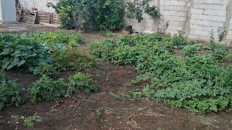 38.000 euro, casa DEMOLABILA cu 440 mp teren in FILESTI - Poză 4