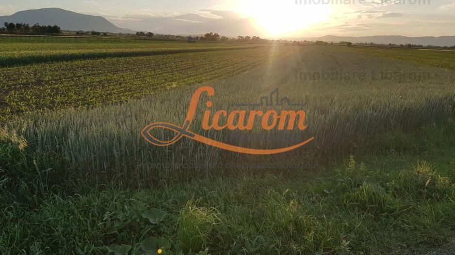 Teren Stupini Calea Feldioarei 4600 mp,21 euro/mp, front la asfalt - Poză 2