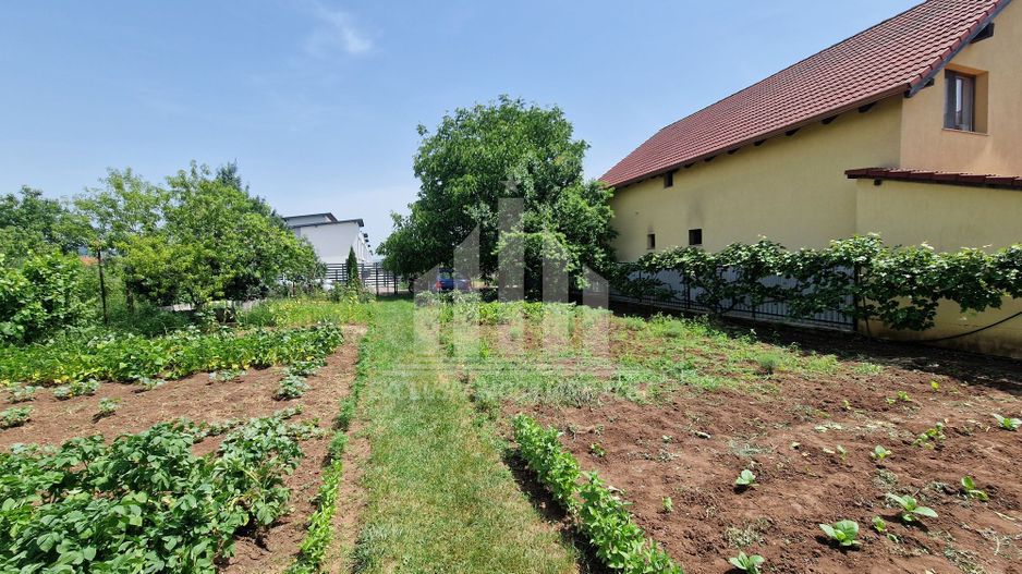 Teren intre Alba-Micesti, partea dreapta - Poză 3