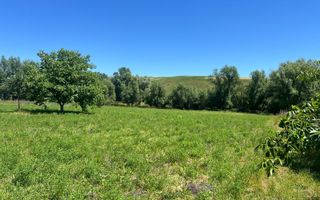 Casă de vânzare Zaharești/Suceava - Poză 13