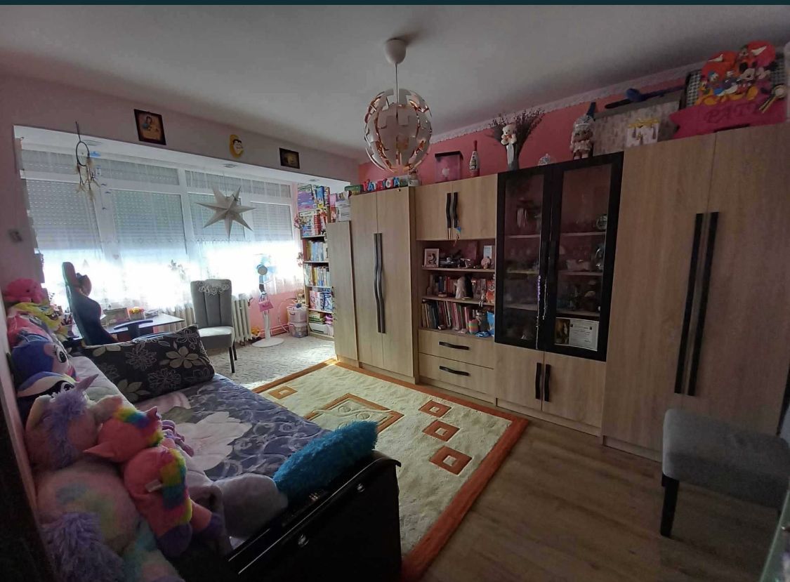 Apartament cu 2 camere pe Drumul Careiului - Poză 3
