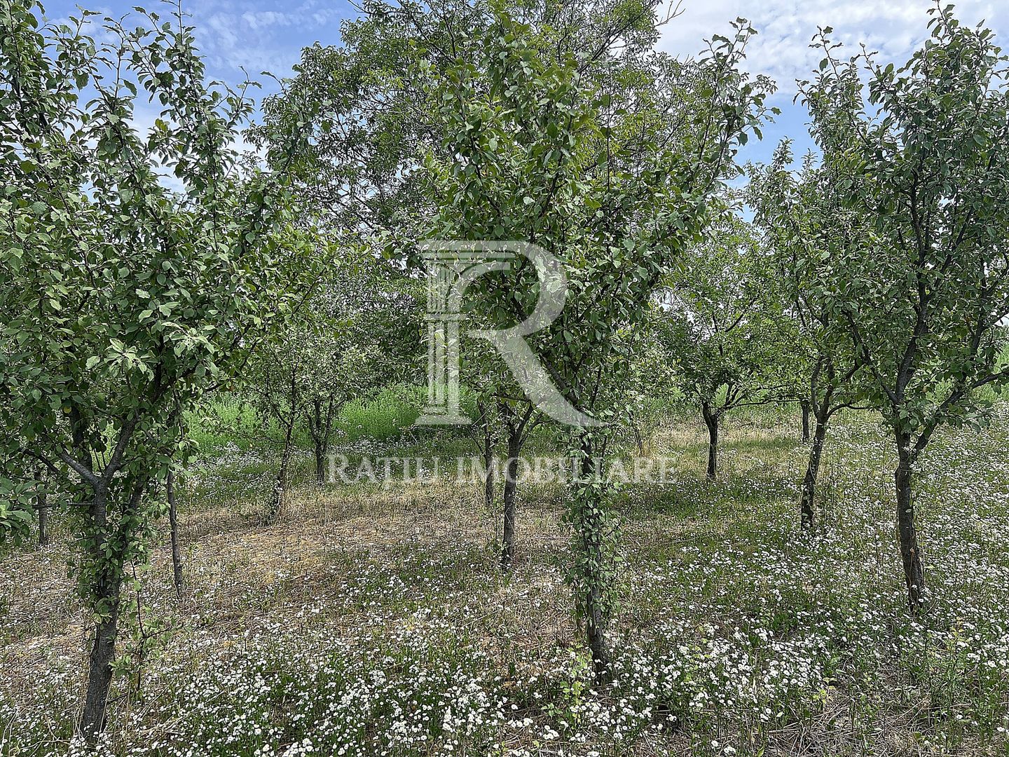 Casa de vacanta | Târgușor | Bihor - Poză 23