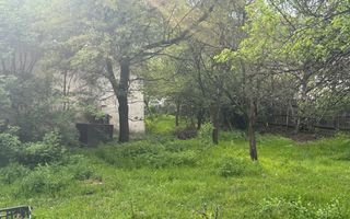 TEREN INTRAVILAN 7018 MP CAMPULUNG - Poză 30