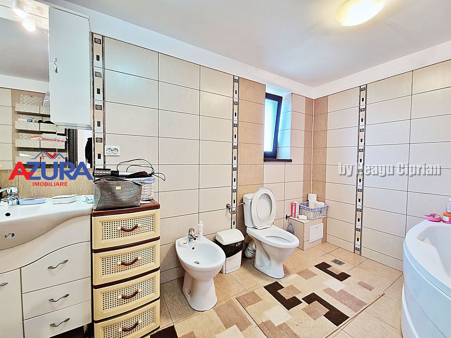 AZURA Imobiliare - 2 Case, 1 Camin - Smeura 250 m din DN zona Hintesti - Poză 6