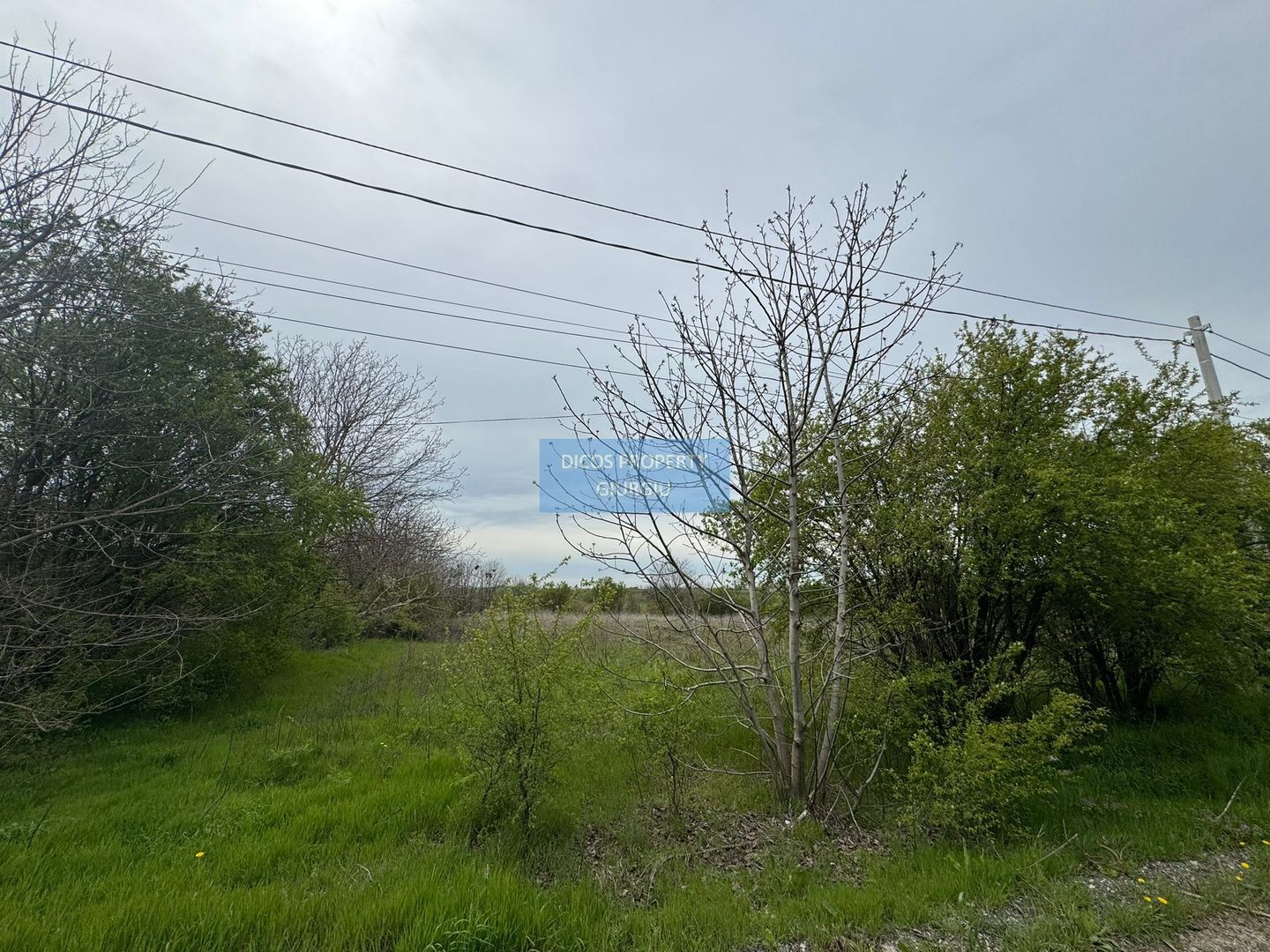 teren intravilan  sat Daia, județul Giurgiu,Dealul Florilor - Poză 1