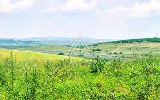 28.554 mp TEREN EXTRAVILAN, TURDA – SĂNDULEȘTI, jud. CLUJ - Poză 4