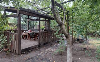 Casă Spațioasă P+1+M, 265 mp Utili, 1000 mp Teren – Toate Utilitățile, Vânători - Poză 37