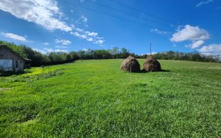 De vanzare 2965 mp teren intravilan, toate utilitatile, Oarda de Sus - Poză 3