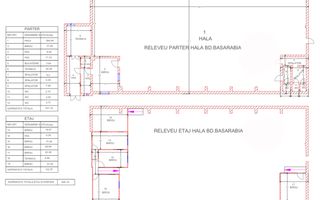 Basarabia - Costin Georgian | Hală industrială - Poză 8