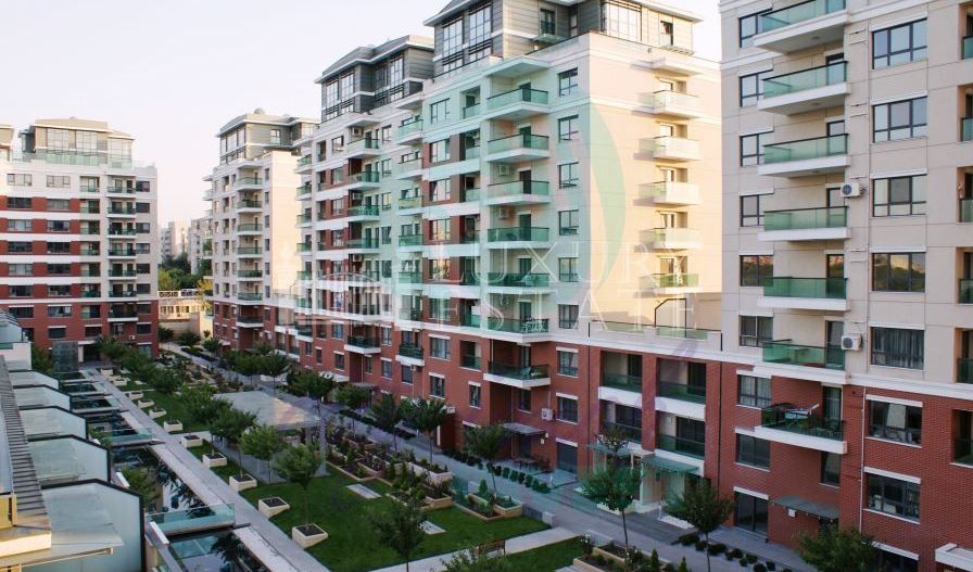 Inchiriere 2 camere cu vedere panoramica spre Lacul Tei - Poză 3