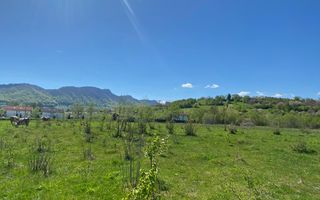 Teren Bran/ Predelut 10.663 mp. - Poză 3