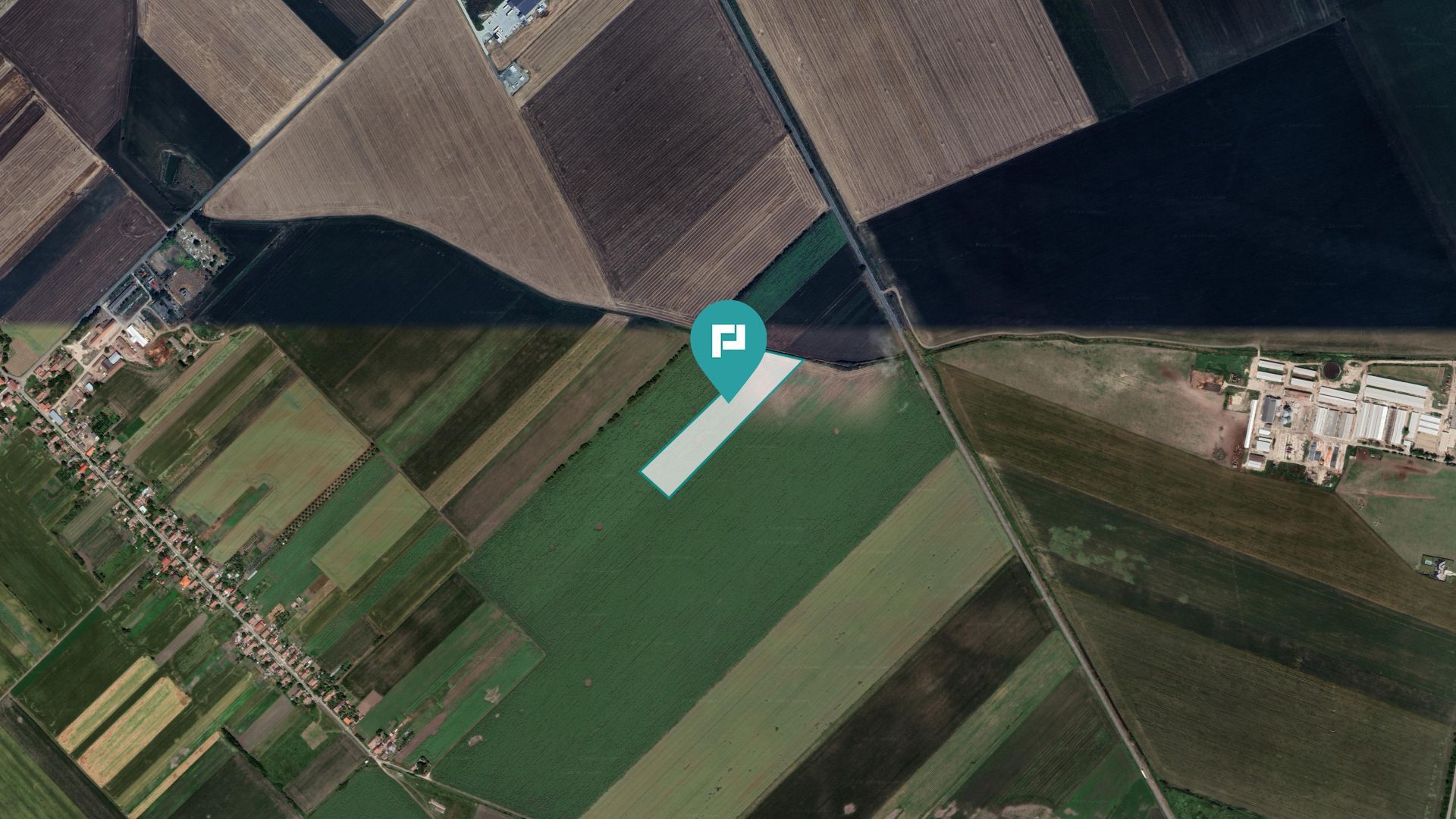 Teren extravilan de 22500 mp în Variașul Mare - Poză 3