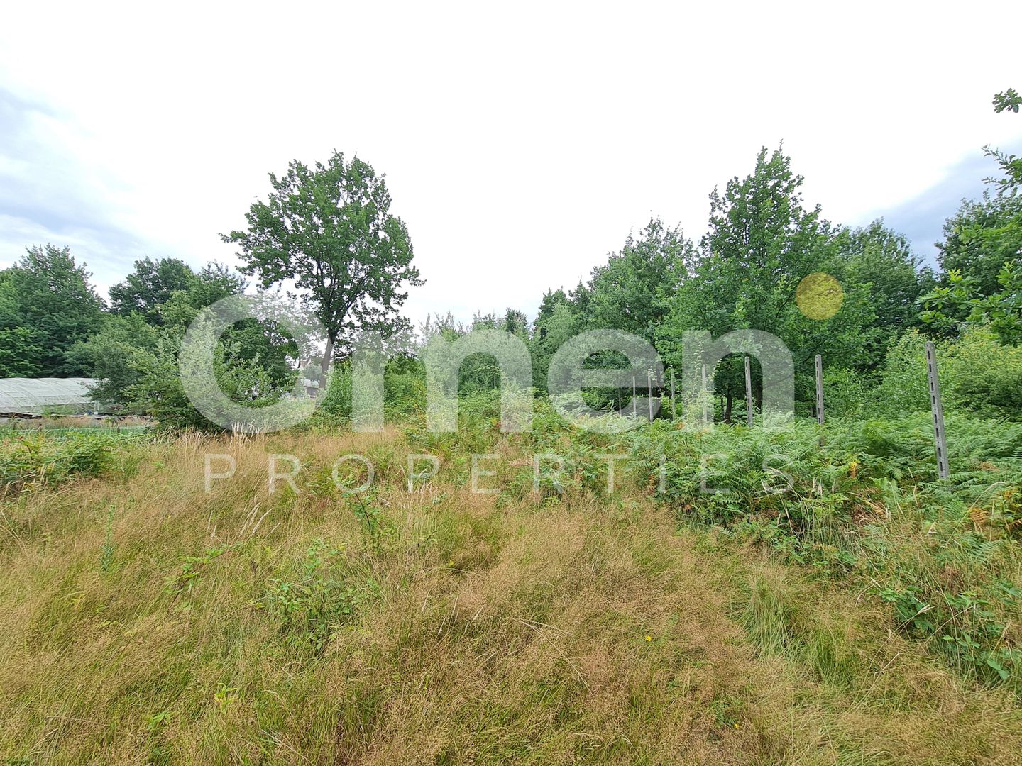 Teren intravilan de vânzare | 1.656 mp | 69.000 € | strada Murelor | Groși - Poză 3