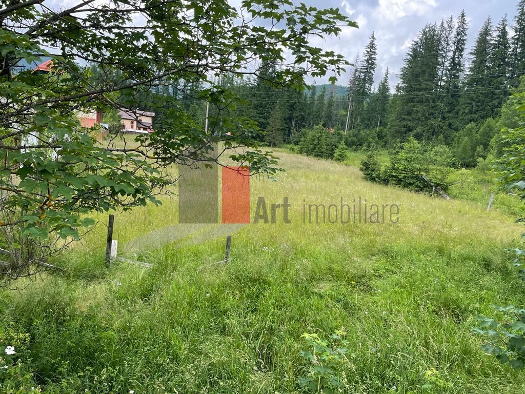 Teren statiunea Cheia, zona centrala - Poză 1