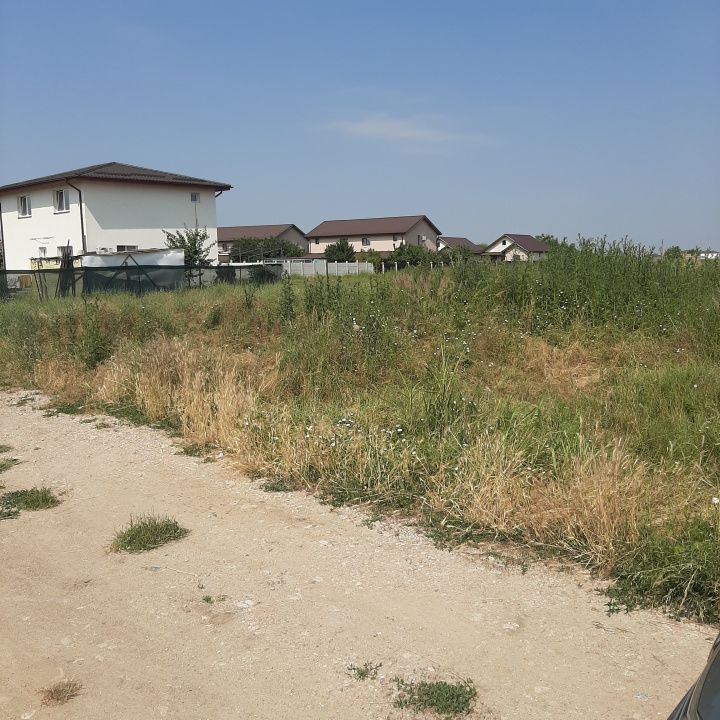 Teren 585 mp, intravilan, in Domnesti catre Teghes, din str. Curtea Domneasca - Poză 1