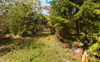 Casă cu livadă de pomi în Dorobanți - Poză 22